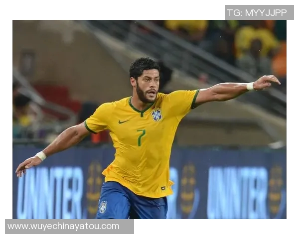 巴西足球明星绿巨人背后的传奇故事与辉煌成就解析